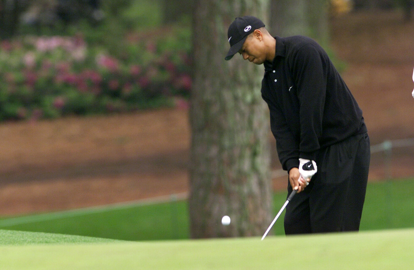 Tiger Woods 3