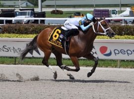 Willy Boi beat odds-on rival Drain the Clock and four others to win the Grade 3 Smile Sprint at Gulfstream Park. The 4-year-old gelding is unbeaten in three 2022 races. (Image: Coglianese Photos/Lauren King)