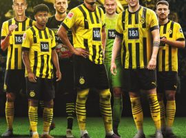 Dortmund signed seven players so far this summer. (Image: twitter/brfootball)