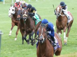 In every one of his six US stakes races -- including this nearly five-length romp at the Shakertown at Keeneland in April --Golden Pal led at every call. He goes for his seventh victory and third stakes score at Saratoga in Friday's Grade 3 Troy Stakes. (Image: Keeneland/Coady Photography)