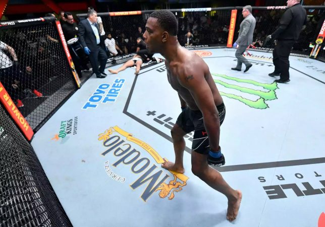 Jamahal Hill (pictured) will look to advance towards a light heavyweight title fight when he takes on Thiago Santos on Saturday in the main event of UFC on ESPN 40. (Image: Getty)