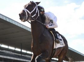 Life Is Good rolled up a 112 Beyer Speed Figure and a 5 1/2-length victory in last month's John A. Nerud Stakes. He's the 6/5 morning line favorite to win one of the biggest older horse races in the country: The Whitney. (Image: NYRA Photo)