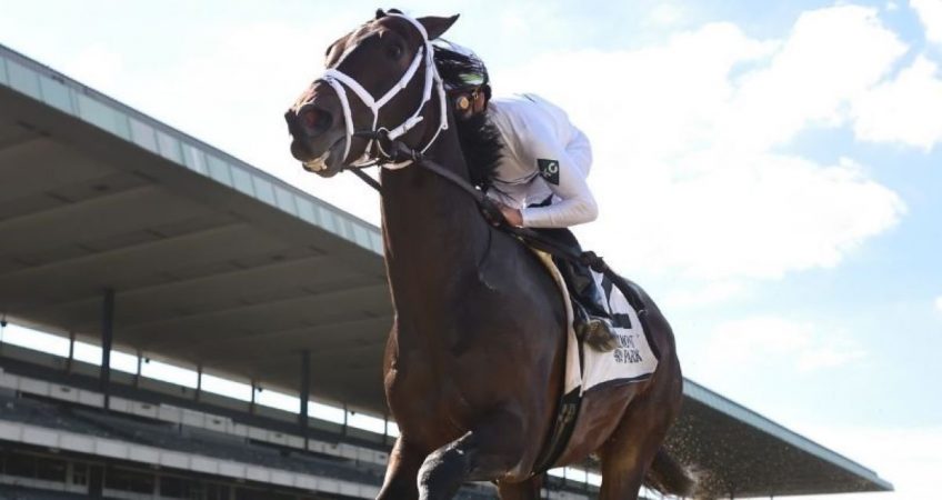 Life Is Good rolled up a 112 Beyer Speed Figure and a 5 1/2-length victory in last month's John A. Nerud Stakes. He's the 6/5 morning line favorite to win one of the biggest older horse races in the country: The Whitney. (Image: NYRA Photo)