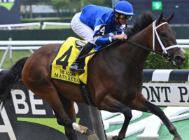 Matareya captured June's Grade 1 Acorn Stakes by 6 1/4 lengths. The 3-year-old filly comes into Saturday's Grade 1 Test Stakes unbeaten in four 2022 starts. (Image: AC Photo/NYRA.com)