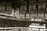 Consecutive NBA Titles: Celtics 8 Straight, Phil Jackson Three-Peats with Bulls and Lakers