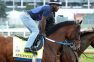 Derby Aftermath: Stunned Asmussen, Preakness Probables